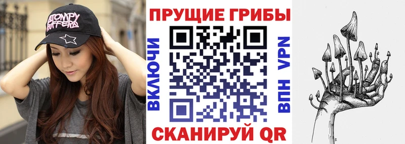 darknet наркотические препараты  Новосибирск  Псилоцибиновые грибы Psilocybe 